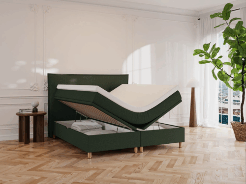 Alva Nordlys Kontinentalseng